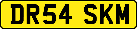 DR54SKM