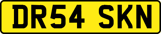 DR54SKN