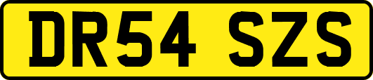 DR54SZS