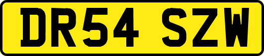 DR54SZW