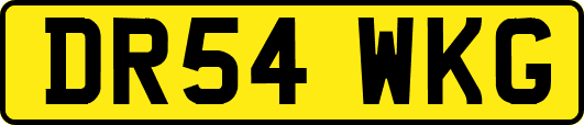 DR54WKG