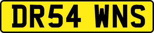 DR54WNS