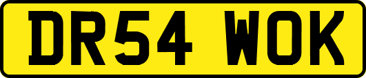 DR54WOK