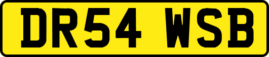 DR54WSB