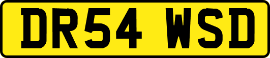 DR54WSD