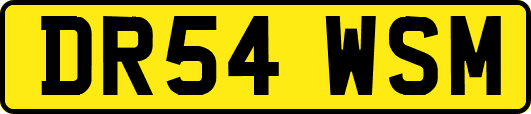 DR54WSM