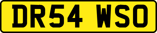 DR54WSO