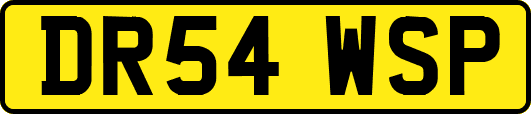 DR54WSP