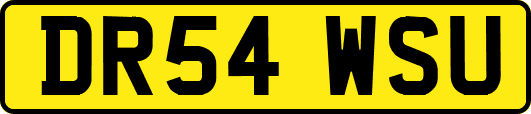 DR54WSU