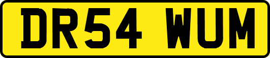 DR54WUM
