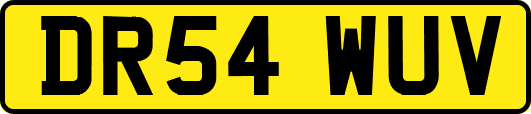 DR54WUV