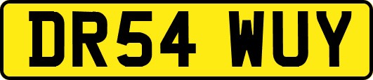 DR54WUY