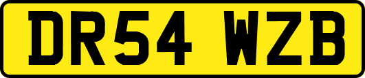 DR54WZB