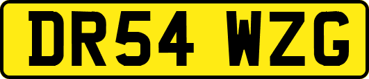 DR54WZG