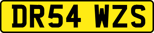 DR54WZS