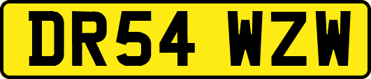 DR54WZW
