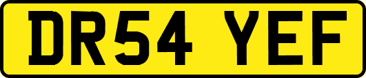 DR54YEF