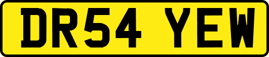 DR54YEW