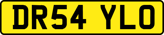 DR54YLO