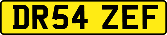 DR54ZEF