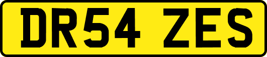 DR54ZES
