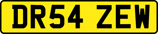 DR54ZEW