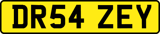 DR54ZEY