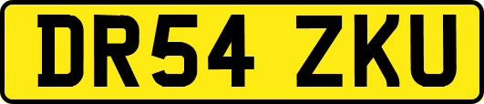 DR54ZKU