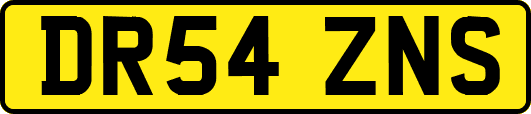 DR54ZNS