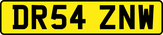 DR54ZNW