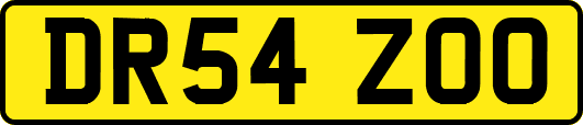 DR54ZOO