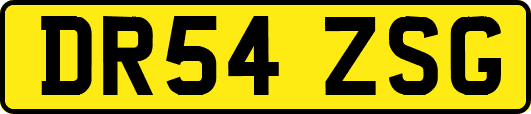 DR54ZSG