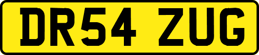 DR54ZUG