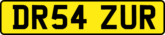 DR54ZUR