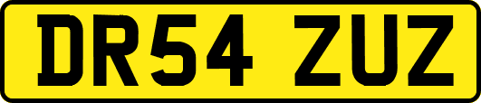 DR54ZUZ