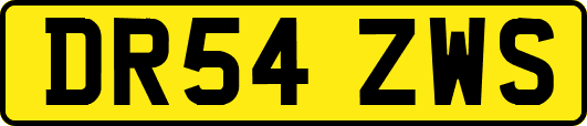 DR54ZWS