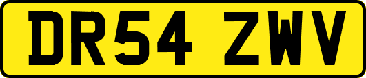 DR54ZWV