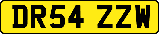 DR54ZZW