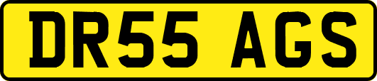 DR55AGS