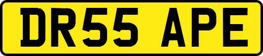 DR55APE