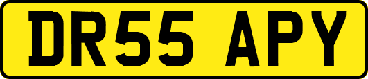 DR55APY