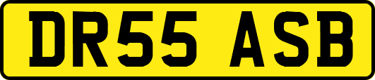 DR55ASB
