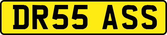 DR55ASS