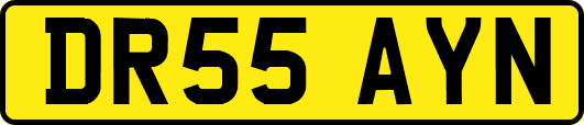 DR55AYN
