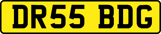 DR55BDG