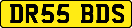 DR55BDS