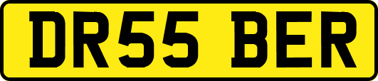 DR55BER