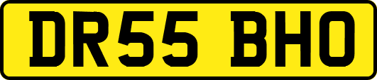 DR55BHO