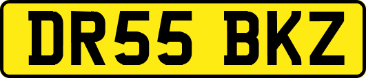 DR55BKZ