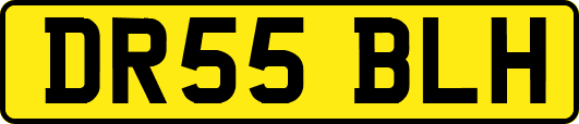 DR55BLH